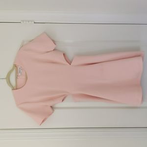 Elizabeth and James Pink Cutout Dress Size 12